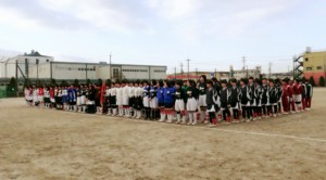 愛する を ソフト ボール